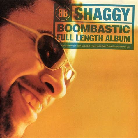 shaggy pics|mr boombastic original.